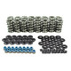 Dual Valve Springs & Kits